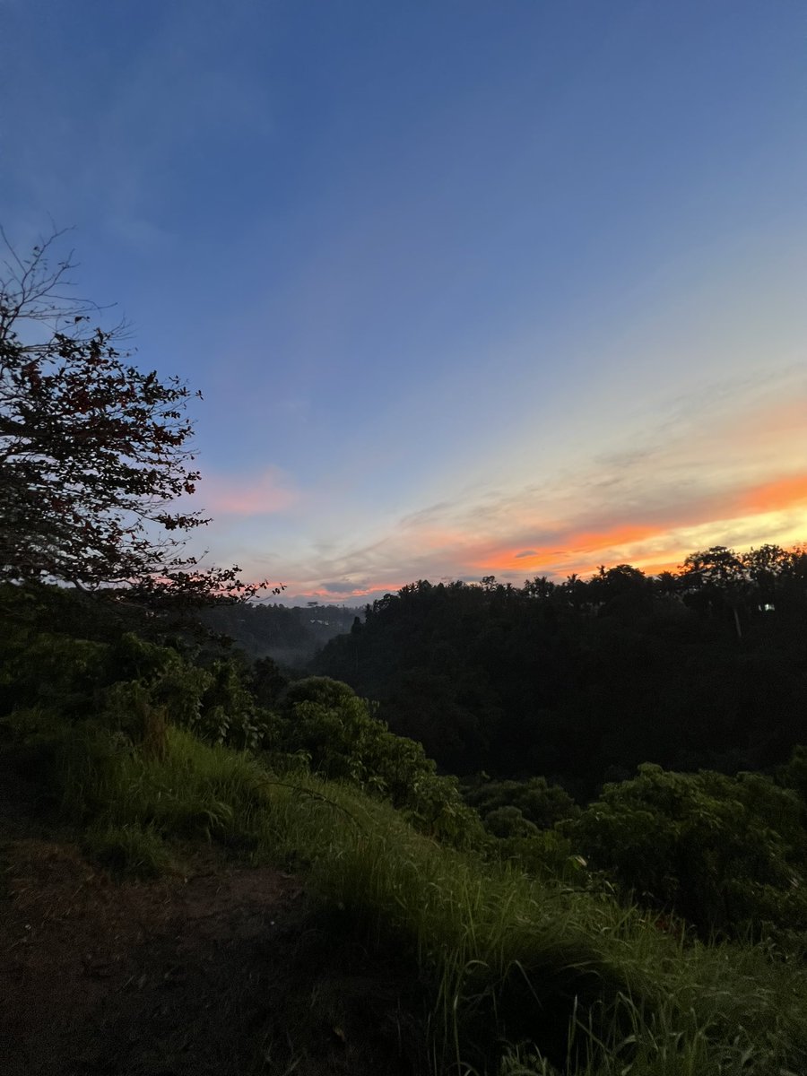 free__roam's tweet photo. Sunrise over Ubud 🌤

📍Capuhan Ridge Walk https://t.co/ecCUDAUavx