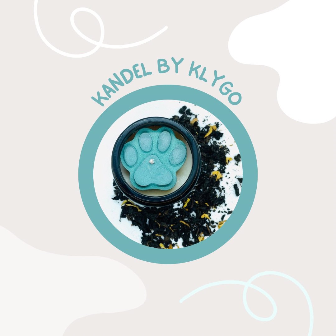 KlygoApp ES tweet media