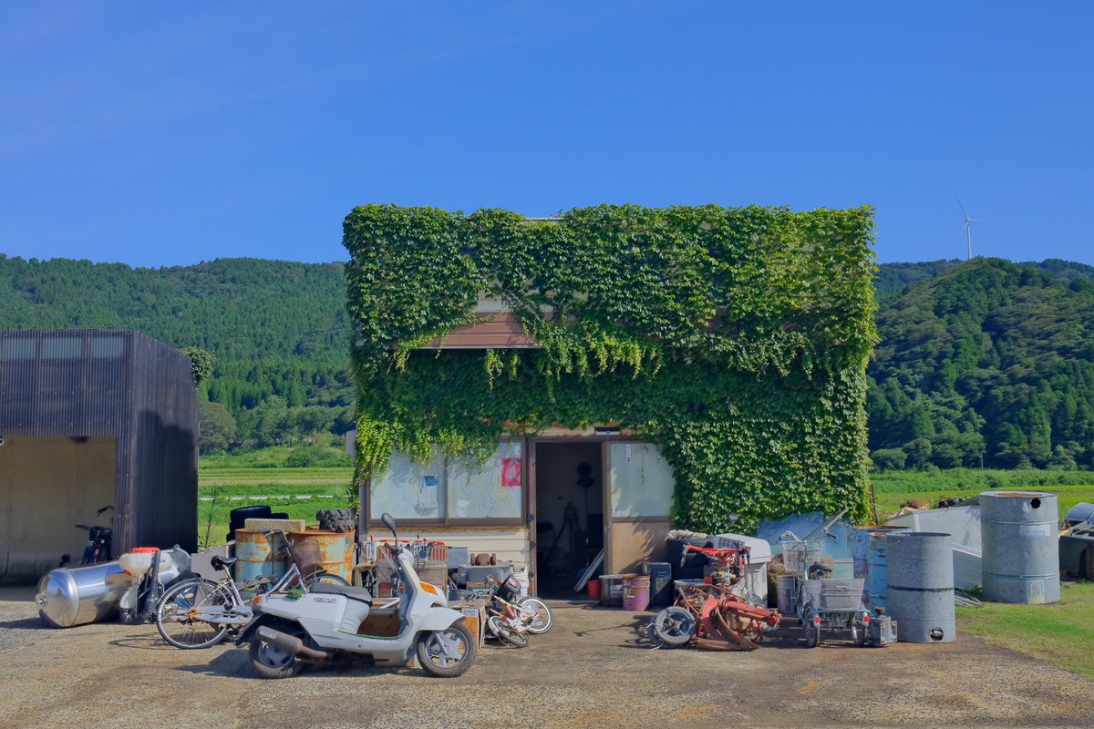 对孤独的房屋总是心怀好感。