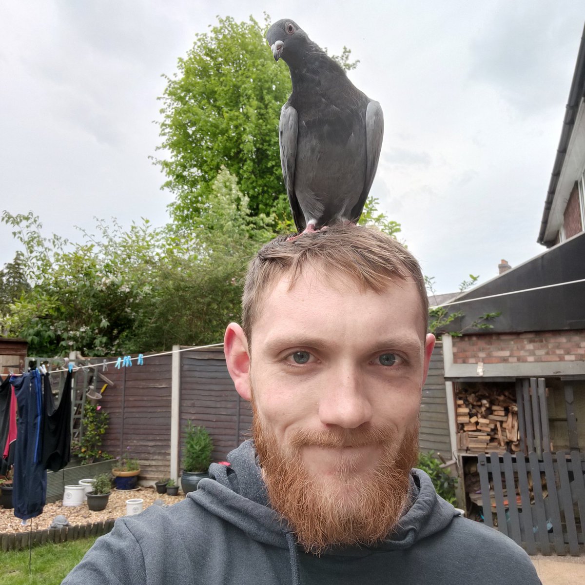 Jack_W_Clarke's tweet photo. #NewProfilePic https://t.co/BM7QDI3B0J