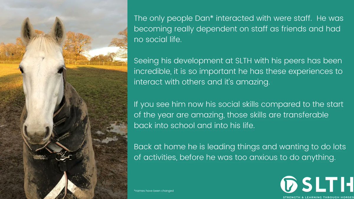 As the Autumn term begins and you find you have a 'Dan' in your class, consider how equine therapy could help them too. #HealingHorses #equinetherapy #NewSchoolYear