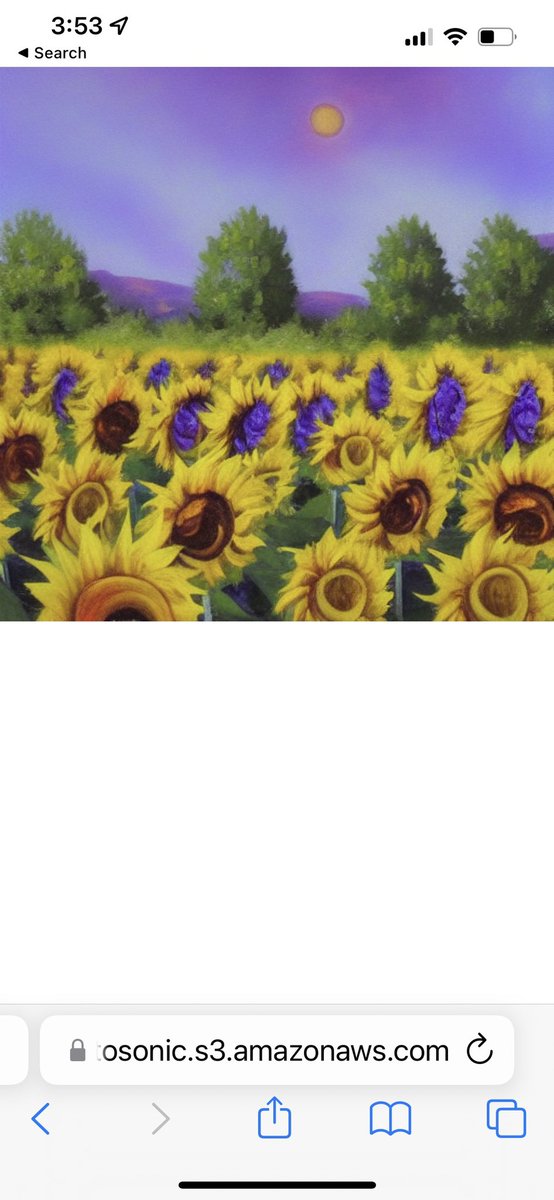 Embrace the beauty around you. #beauty #Sunflowers