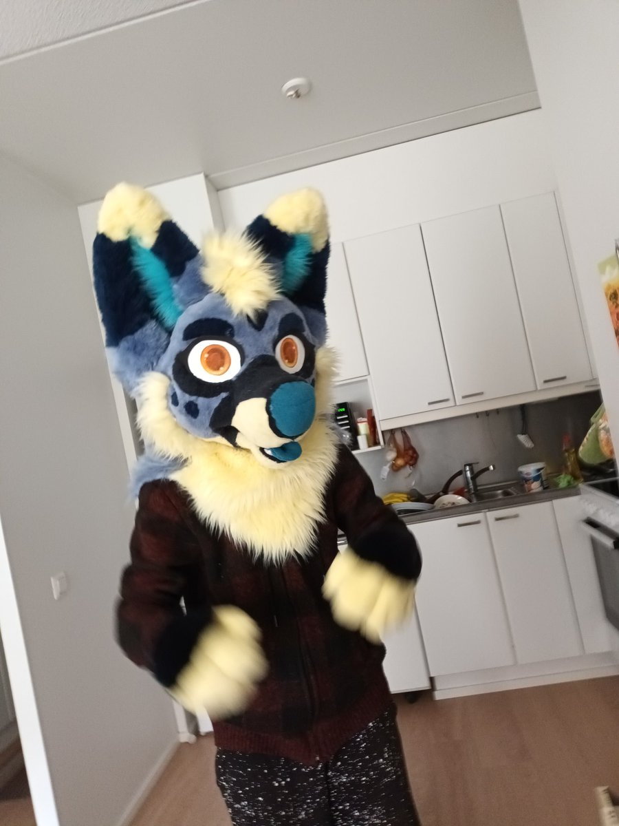 Gonna post this here too, since this lad is soon ready to be sold 👀 Thanks for my fiance for putting up with having to be my model 
#fursuit #furry #fursuitmaker