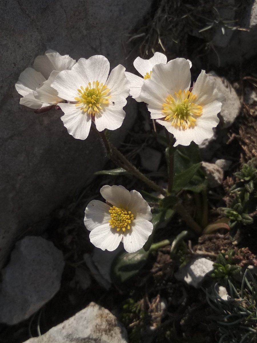 seedecol7 tweet media