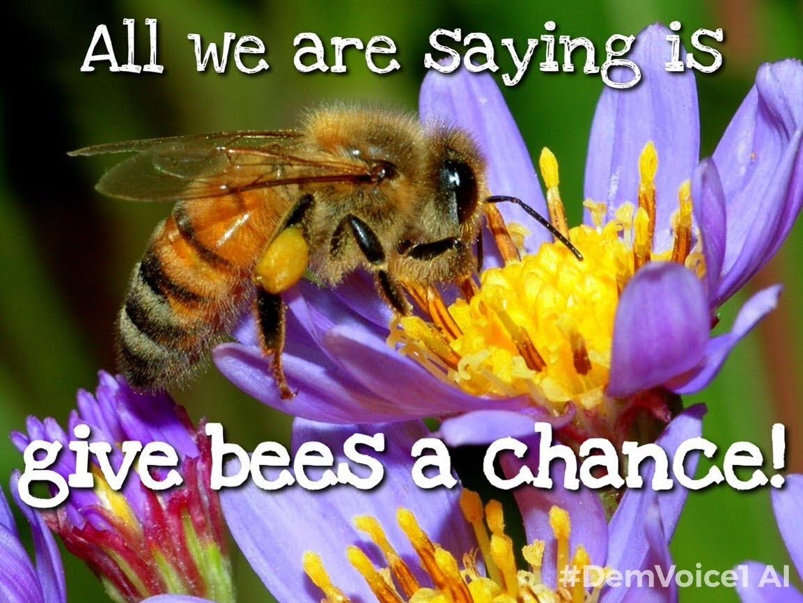 1MDA44's tweet photo. https://t.co/WEOCrqWpHj