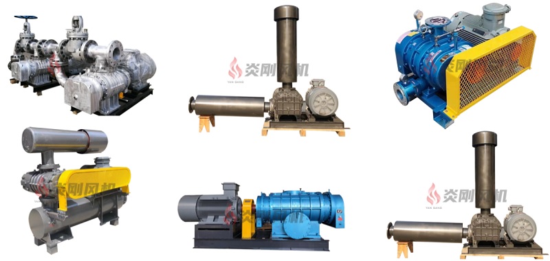 TlibabaM's tweet photo. Hi, we are manufacturer of root blower, root dresser, direct driven blower, Urai blower, DSL blower, Rai blower. If you need factory price &amp; support, please inbox or whatsapp/wechat +86-13105760007. #rootsblower, #Uraiblower, #DSLblower, #Raiblower, https://t.co/TLs59fCz98 https://t.co/1rnQTH1PtQ