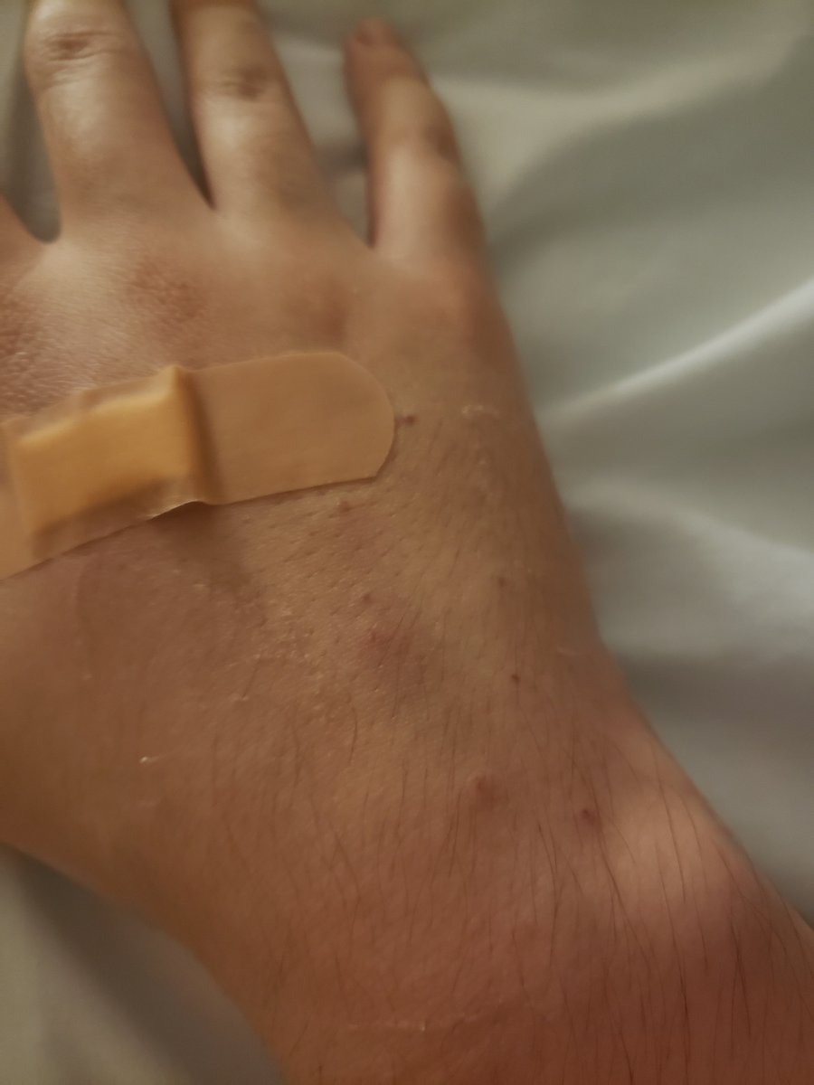 danmaku idiot tweet media