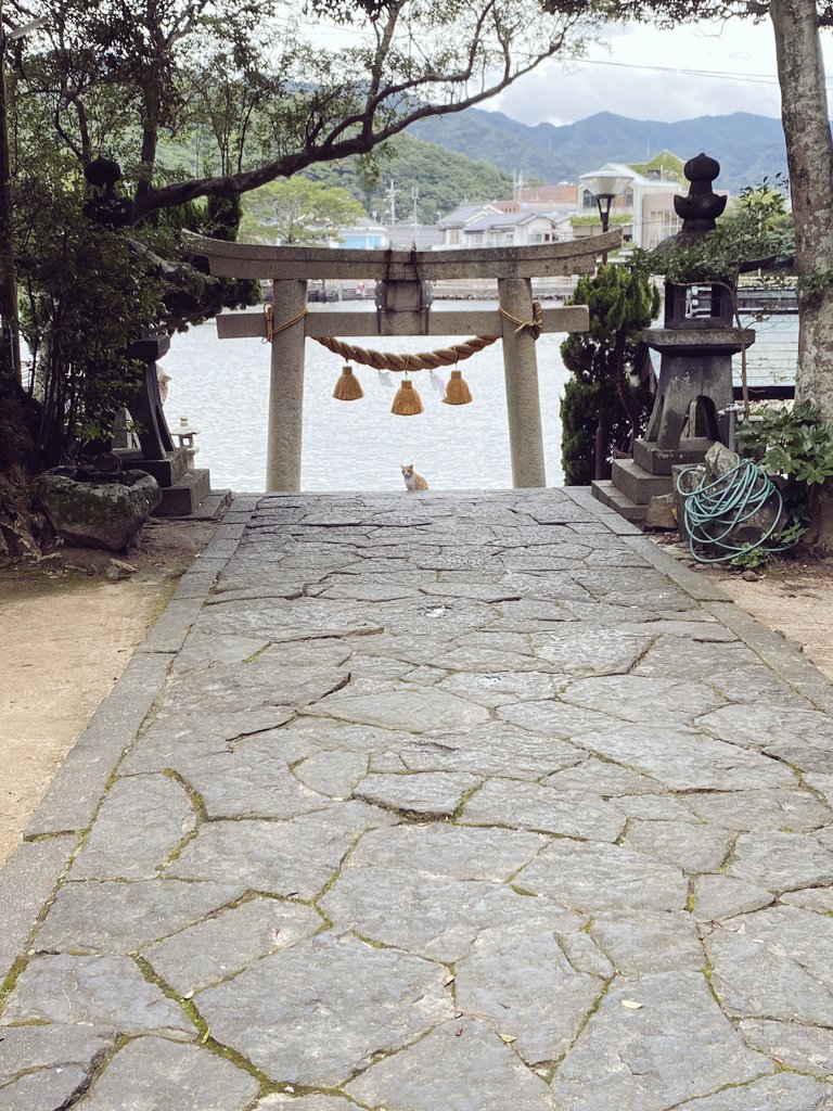 萩の神社が良い
 #山口県
