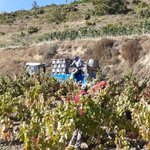 Photo by Bodegas Ostatu (@ostatu)