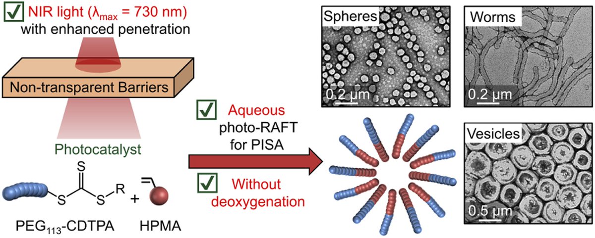 ChemicalScience's tweet photo. Check out this 🔥#ChemSciHOT🔥 article by Cyrille Boyer and coauthors from @UNSW and @ShandongU: https://t.co/dqvWW3iDrQ
Using NIR light, they demonstrate the first syntheses of polymeric nps with consistent morphologies through thick barriers.
#polymerchem #nanoscience https://t.co/btMKYldU1M