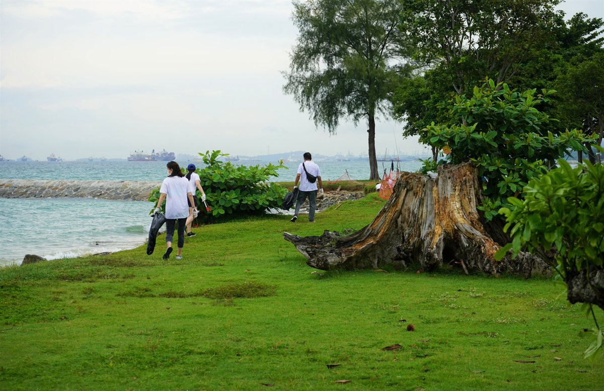 why innovation! tweet media