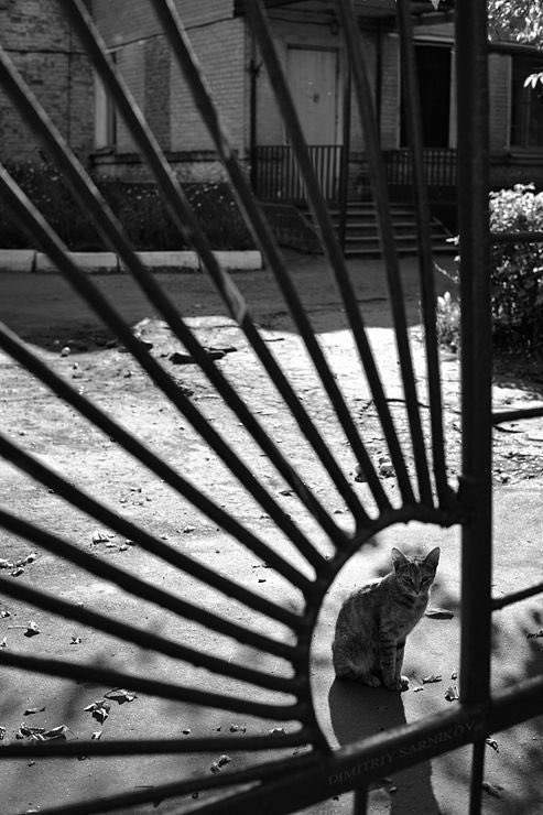 antigonechantal's tweet photo. #photography 
Noir Art https://t.co/8KbSTodAPp