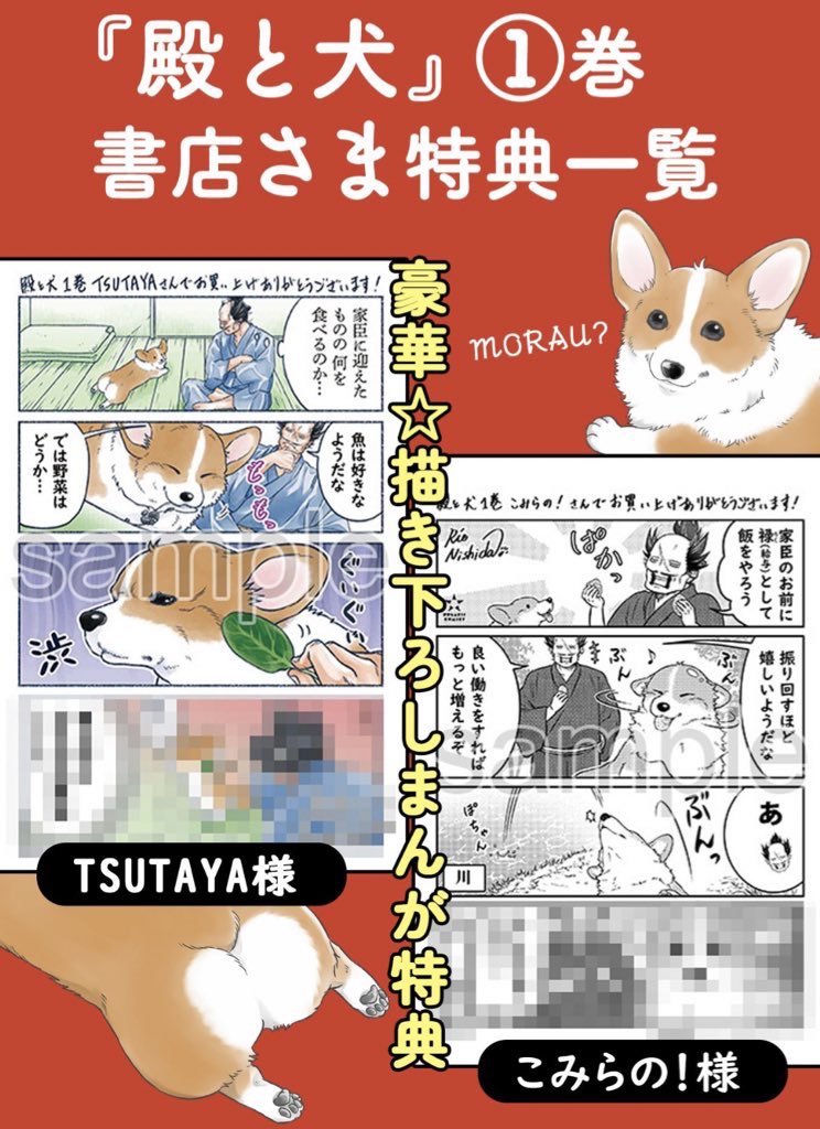 \9/15単行本発売/  武士とコーギーが出会うマンガ 『殿と犬(とのといぬ)』第①集  【描き下ろし4コマ書店特典】は 👇こちらでチェック👇 https://comic-polaris.jp/polaris_comics/  【試し読み】は 👇こちら👇 