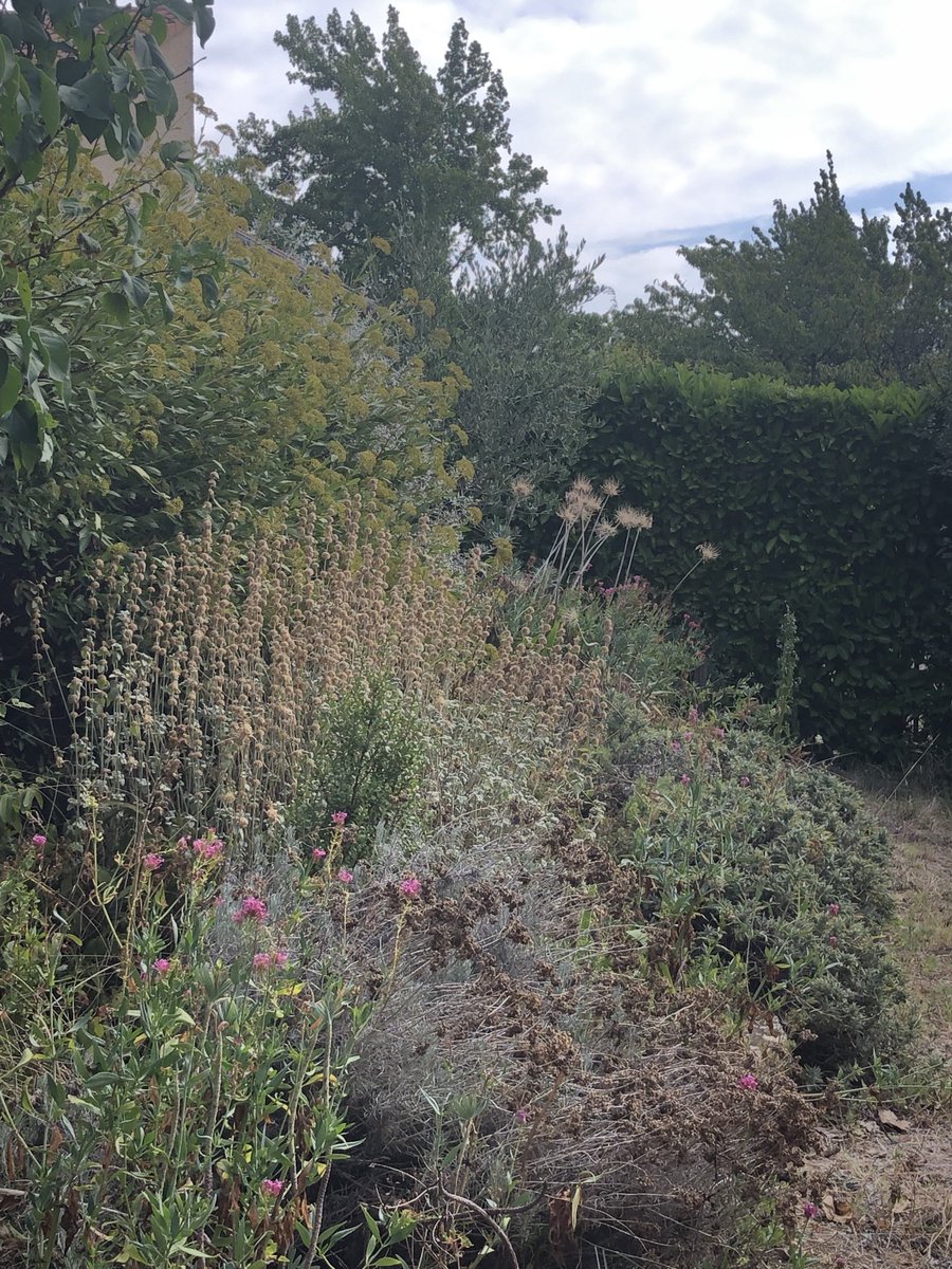Harmonie de fin d’été dans un jardin toulousain…