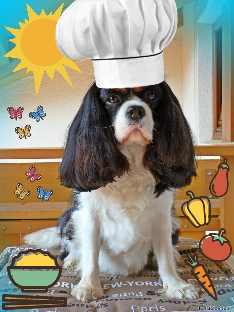 Nanukchen's tweet photo. @dolceSally Happy #rainbowburfday to the most beautiful cavalierina in the world! 😘😘😘 Mi manchi molto amore mio #soopamodel #chefcook #beachbabe https://t.co/mo8ZxeBVFQ