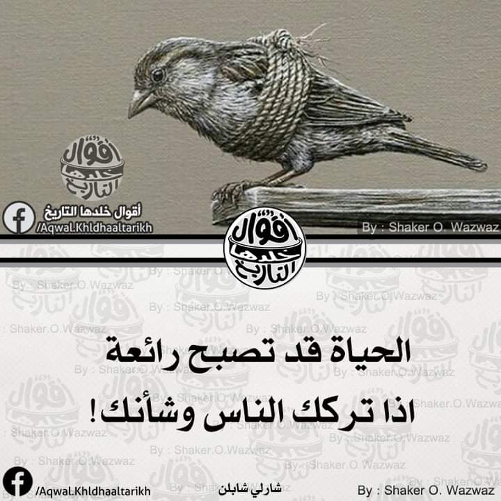د/ابراهيم رسلان (@dbrhymrsln1) on Twitter photo 