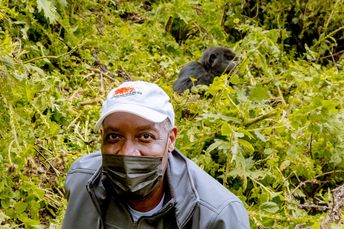 AWFCEO's tweet photo. After the naming ceremony, I embarked on a quest to put a face to the name &amp; to describe this discovery as anything less than breathtaking would be an understatement. I am happy to present to you -Indatezuka, delicately cradled in her mother's arms! #Africaisbeautiful #KwitaIzina https://t.co/x9NlaCbz4G