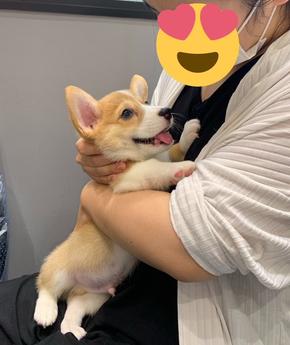 お迎えに行ったら パパとママで態度が違いすぎ パパに抱かれたときのショボくれ感 あからさますぎてかわいい まいどなニュース