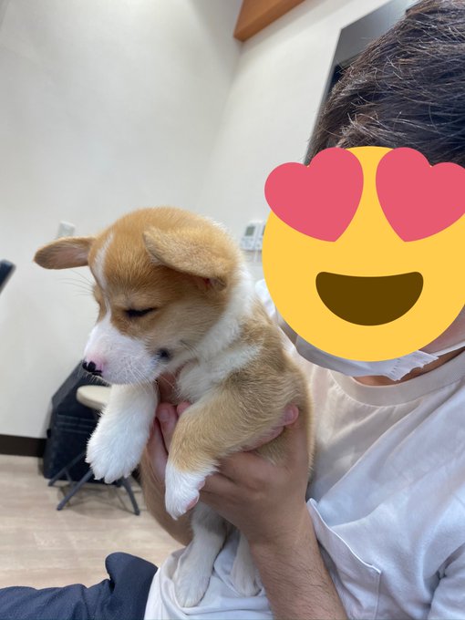 お迎えに行ったら パパとママで態度が違いすぎ パパに抱かれたときのショボくれ感 あからさますぎてかわいい まいどなニュース