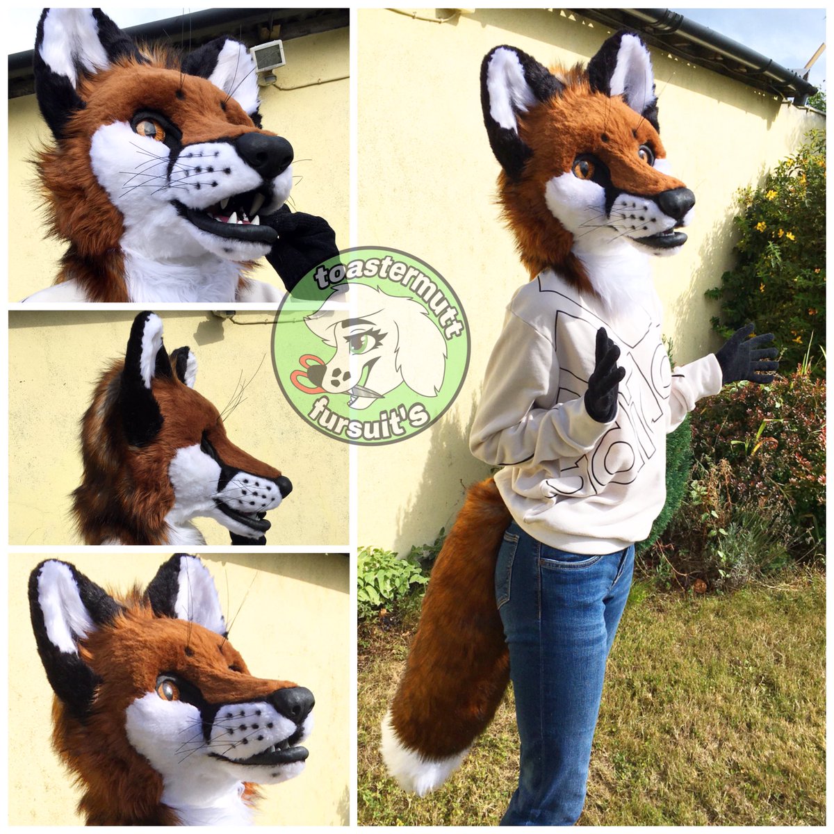ToastermuttFS's tweet photo. Photos of the complete commission for @ReynardGoupil 
Semi-realistic fox head with a big fluffy tail🦊🖤
Definitely my most detailed suit so far, has a lot of details like dry brushing, sculpting, whiskers, etc.
He’ll be shipped to his new home soon!!🌎 https://t.co/kIYqTIKM66