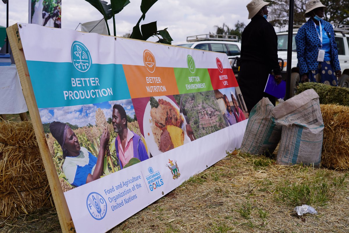 WFP Zimbabwe tweet media