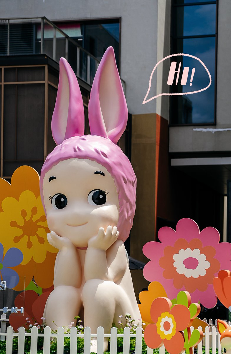 ecwindowdisplay tweet picture