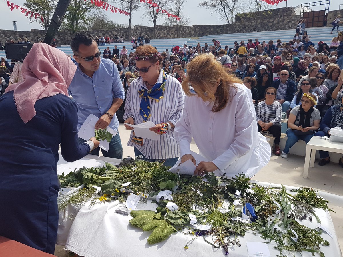 B4FNTeam's tweet photo. Popularizing  #wild #food #plants🌱🌿in #Turkey. Want to know how? https://t.co/z36odG3Amw @BiovIntCIAT_eng @KIRKLARELITARIM @antalyabbint1 @ontasarim https://t.co/LhOyy2wG2a