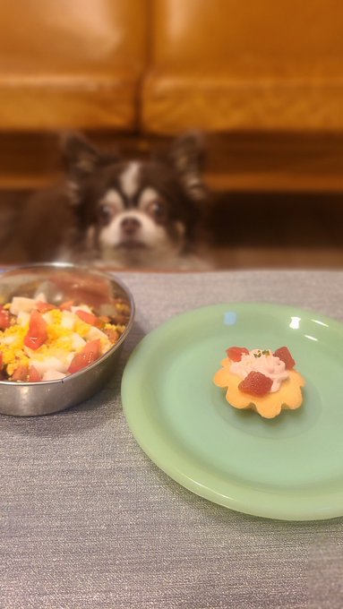 Twitterのコスプレ画像26