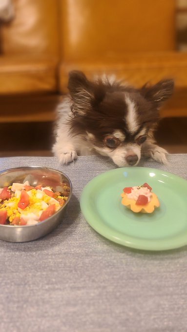 Twitterのコスプレ画像25