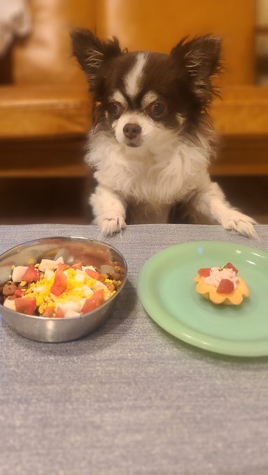 Twitterのコスプレ画像27