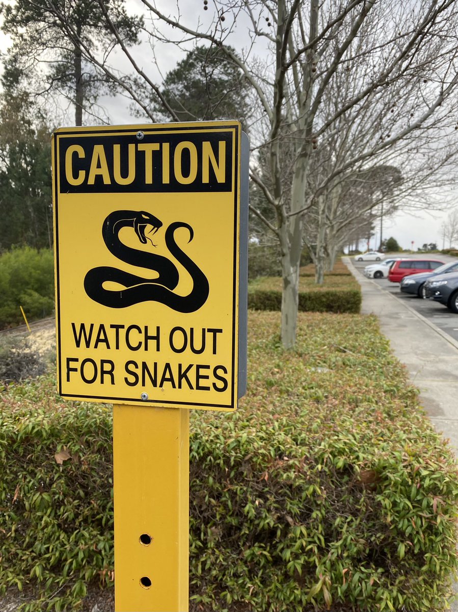 Cassandra Cavallaro tweet media