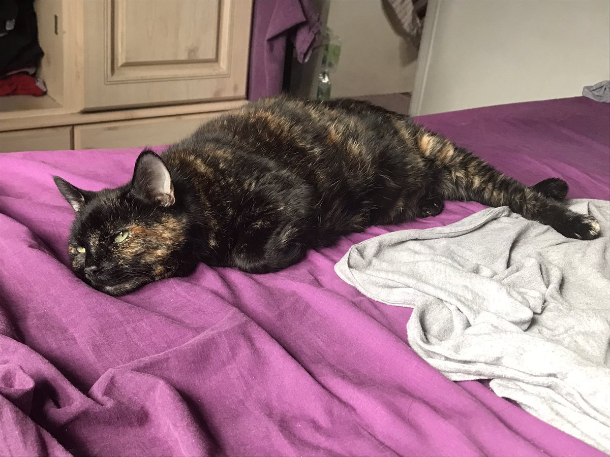 CricketVixen's tweet photo. She’s so over today and honestly, same. https://t.co/H1WuL5mO6x