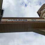 ツイートに含まれる画像