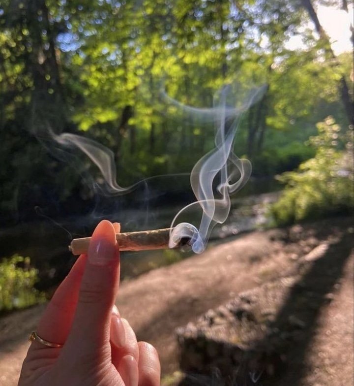 Começar o dia bem, bom dia!!! 🔥🍁🤤
