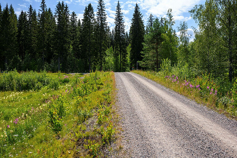 LukeFinland's tweet photo. Maatalouden #kasvihuonekaasupäästö'jä voidaan vähentää lisätoimenpiteillä, kertoo tuore raportti. Kasvipainotteisempi ruokavalio vähentäisi #maatalous KHK-päästöjä lisää, mutta vaikutukset näkyisivät vasta useamman vuoden kuluttua.➡️https://t.co/b8AD1gwUC0 #Hiilineutraali2035 1/3 https://t.co/6sS1Cf3EeJ
