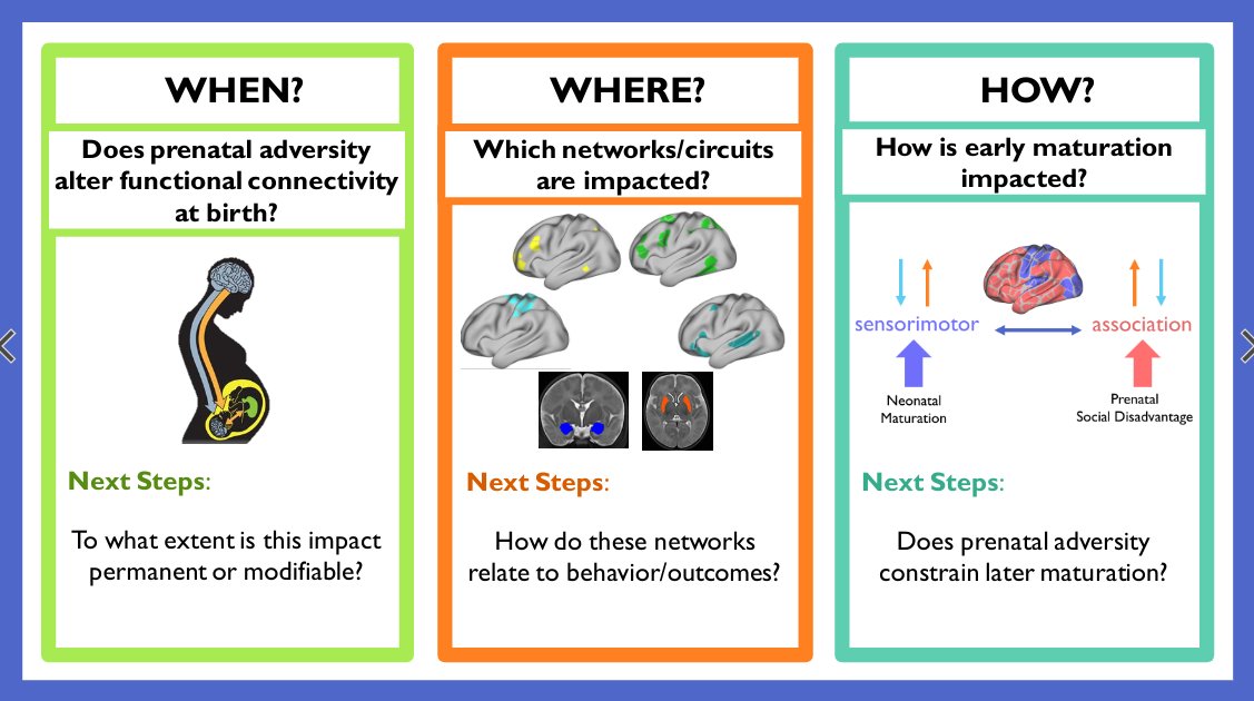 hashtagAshleyN's tweet image. Had a great time talking at the first ever FIT'NG conference #fitng2022 ! What a great session! I am so excited for all the science to come in the next few days 😍👶🧠