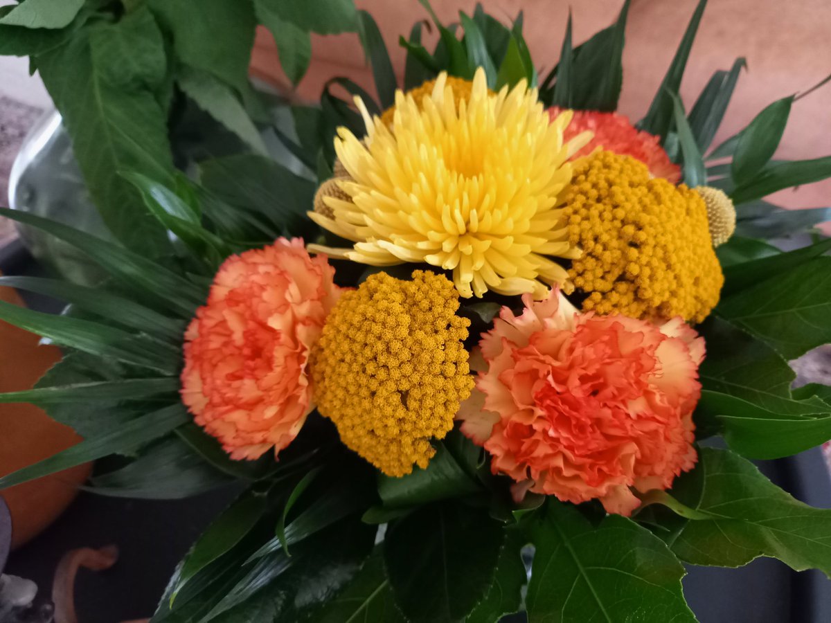 minnalumme's tweet photo. Ihana yllätys @HAMK_AOKK kehittämiskokouksen alussa. Lämpimästi tervetuloa joukkoomme,  kortissa luki. Kiitos 🥰 @SeijaKult @HAMK_Edu #tutkimusklusteri #erko #thegiveproject #kouluhyvinvointi #liberia #kasvatustiede https://t.co/USCryJBOzH