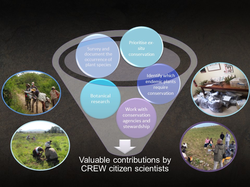 Our #citizenscientists play a unique role in carrying out a range of activities to provide valuable contributions to #plantconservation
instagram.com/p/CiHwoMOK8IS/…