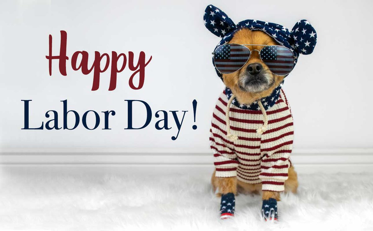 Performance_Pet's tweet photo. Have a great day! https://t.co/NQ3qYKbC7e