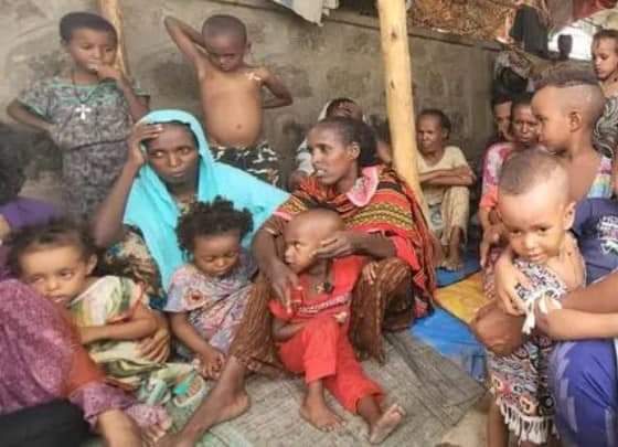 MellathM's tweet photo. #Tigrayunderattack
#Tigaygenocide
#StopTigraymassarrest
#Stopbombingcivilian
@SecBlinken
@MikeHammerUSA
The Tigray people is suffered too much by starvation manmade. International Community must taKe action to save life Tigray people.
#EndTigrayfamine
#Endtigraysiege
#AllowAccess https://t.co/vdNpLDSYhj