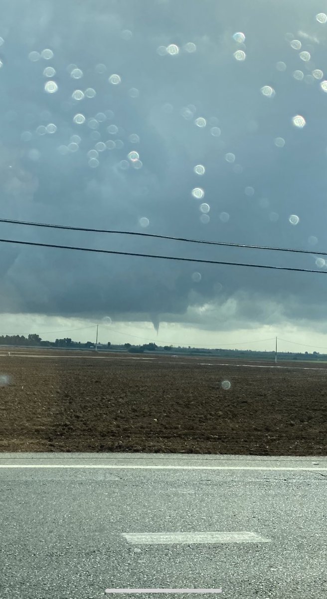 Josep Rodrigo tweet media