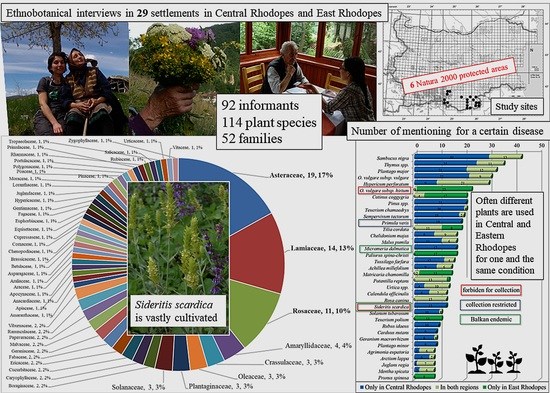 #DiversityMDPI, New publication "#Ethnobotanical and #Ethnopharmacological Study in the #Bulgarian #Rhodopes Mountains—Part _I " at the link: mdpi.com/1424-2818/14/8…