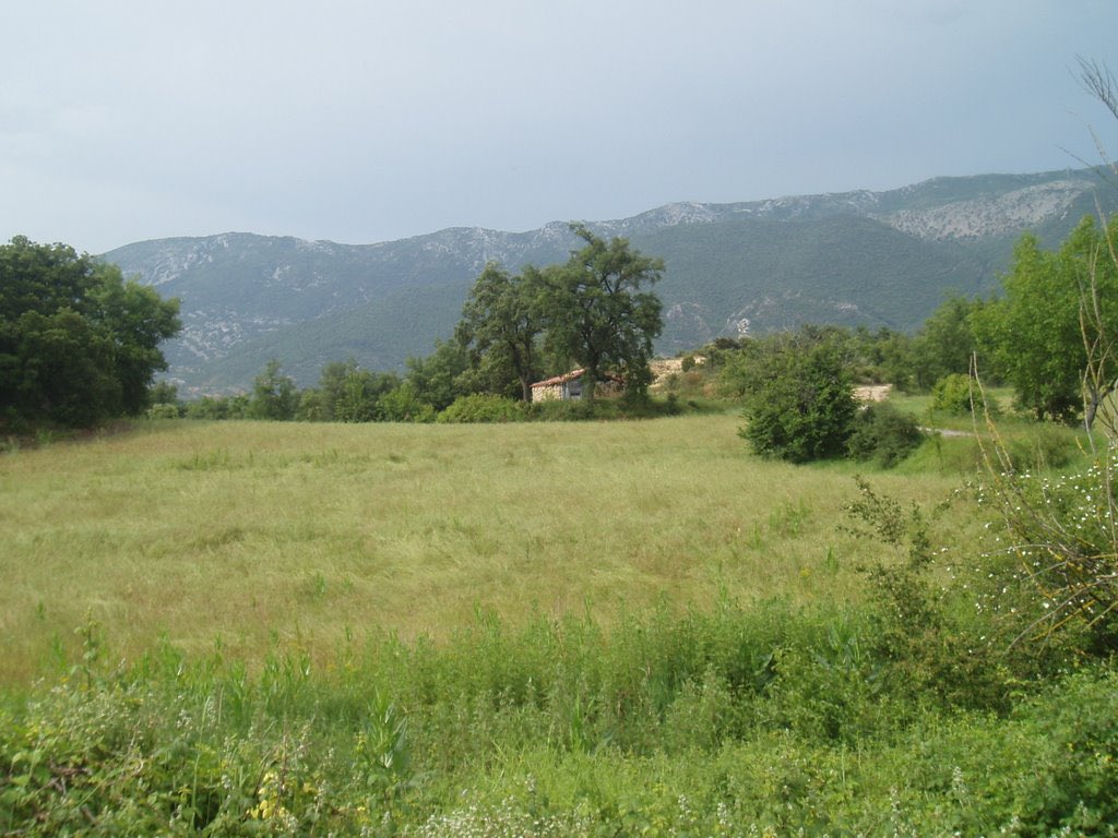 Camino al Centenario tweet media