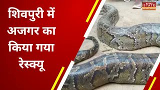 NewsStateMPCG's tweet image. Shivpuri Python Rescue Video: Shivpuri में अजगर का किया गया Rescue, निगल गया था मोर | Shivpuri News
#Shivpuri #PythonRescue #python  #MadhyaPradesh #NewsStateMPCG #HindiBreakingNews #TrendingNews

Watch Video: youtu.be/TqelRuZHpJQ