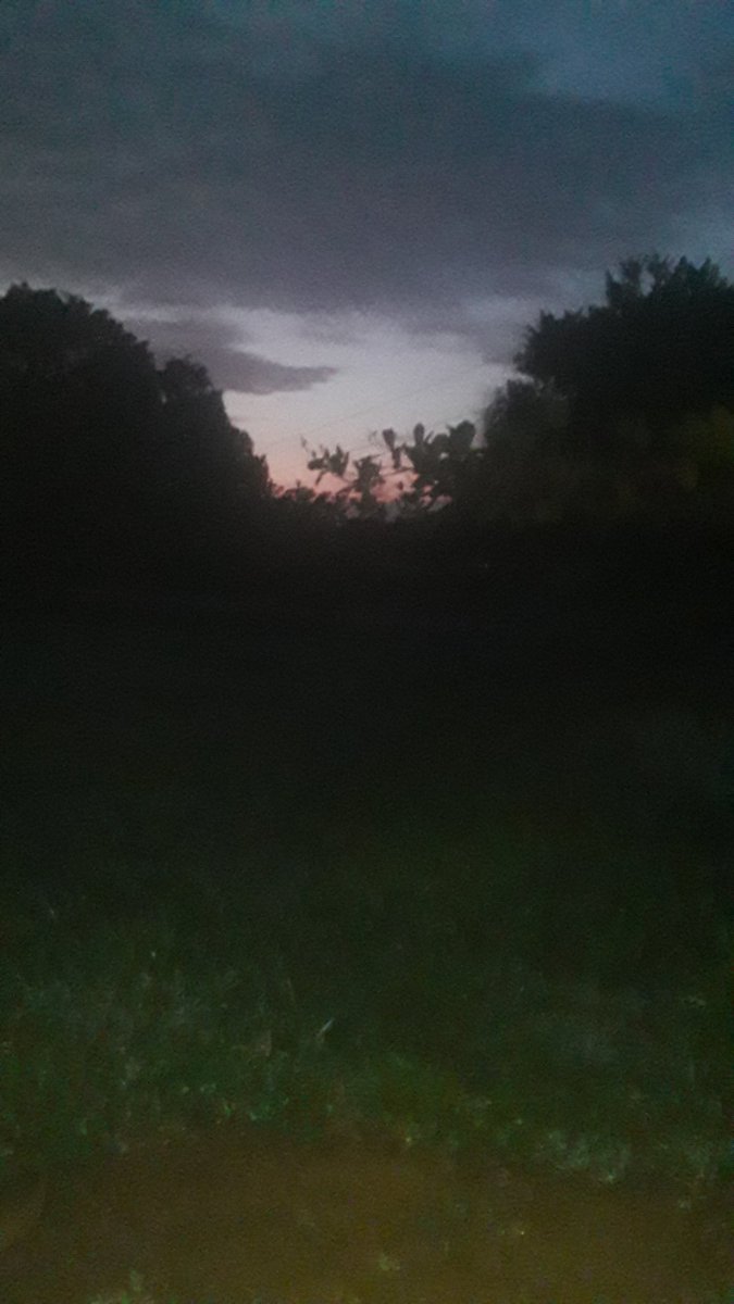 ArturoC69755641's tweet photo. #Cojedes|6:01am| Amanecer contemplando la naturaleza es un gran regalo que debemos agradecer a Dios.
Buenos días. #sep05 @Class987FM @INN_MERIDA @Juanjosanoja @alexandermirele @pedroluisanchez @NunoGonzalezVV @nosrodriguezf @yoyotepsuv @haydenpirela. https://t.co/tgYAHRywru