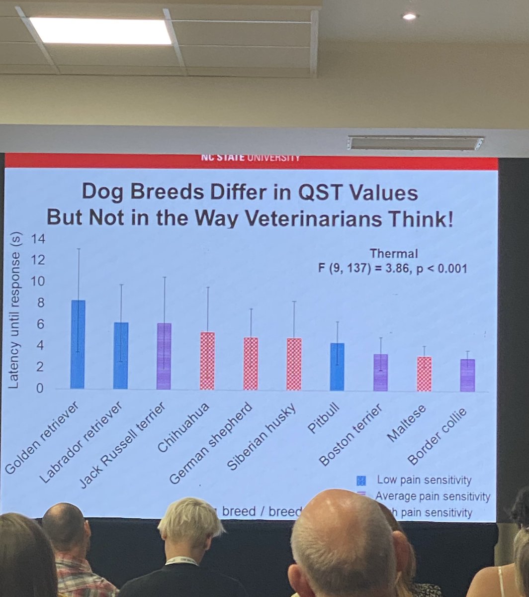 MariaRorvang's tweet image. Dog breed differences in pain sensitivity, do not always correlate with veterinarian pain sensitivity ratings! Fascinating results from @NCState by Rachel Caddiell 
#dogwelfare #painsensitivity #isae2022