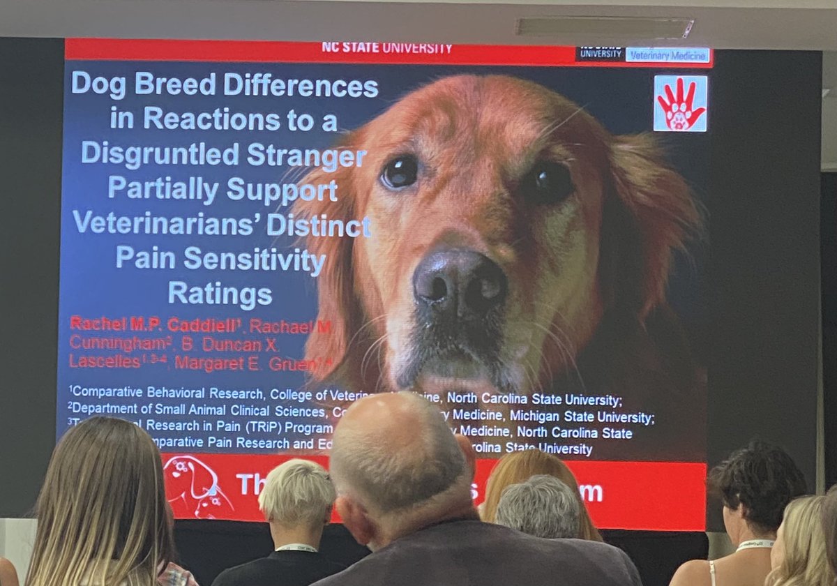 MariaRorvang's tweet image. Dog breed differences in pain sensitivity, do not always correlate with veterinarian pain sensitivity ratings! Fascinating results from @NCState by Rachel Caddiell 
#dogwelfare #painsensitivity #isae2022