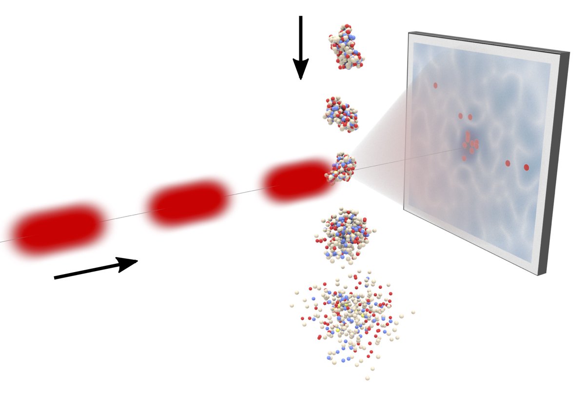 Our department has open positions for PhD students and postdocs! Project: Theory and Algorithms for Structure Determination from Ultrafast Single Molecule XFEL Diffraction and Fluctuation Correlation X-Ray Scattering Experiments.