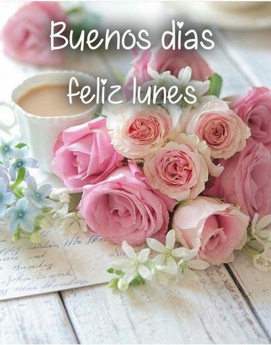Un muy buen inicia de semana para TODOS, feliz lunes 🌷🌹😉👍☕🌞