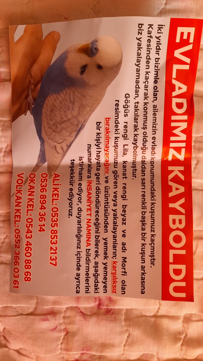 Yer:Ankara (Dikmen-Sokullu-Öveçler taraflarında sanırım)